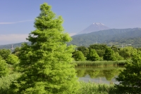 photo?id=2682&suffix=t