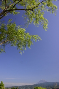 photo?id=2683&suffix=m