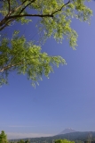 photo?id=2683&suffix=t