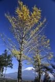 photo?id=2684&suffix=t