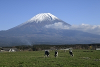 photo?id=2685&suffix=t