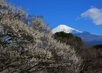 photo?id=2687&suffix=t