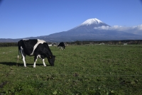 photo?id=2688&suffix=t