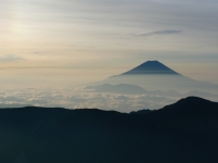 photo?id=2691&suffix=t