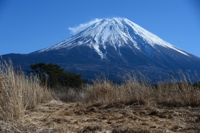 photo?id=2693&suffix=m