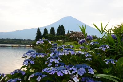 photo?id=2695&suffix=m