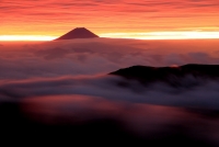 photo?id=2701&suffix=t