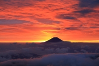 photo?id=2702&suffix=t