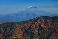 photo?id=2704&suffix=t