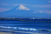 photo?id=2705&suffix=t