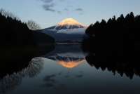 photo?id=2707&suffix=t