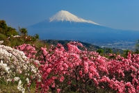 photo?id=2708&suffix=t