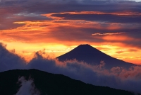 photo?id=2711&suffix=t