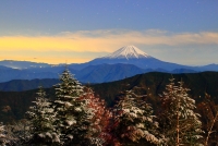 photo?id=2712&suffix=t