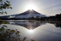 photo?id=2713&suffix=t