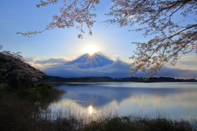 photo?id=2714&suffix=m