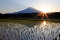 photo?id=2715&suffix=t