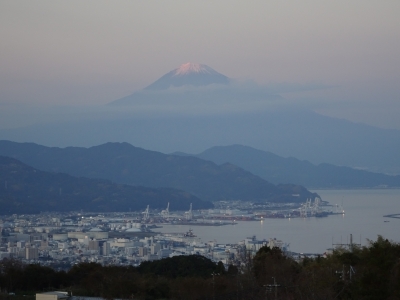 photo?id=2716&suffix=m