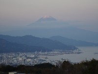 photo?id=2716&suffix=t