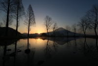 photo?id=2717&suffix=t