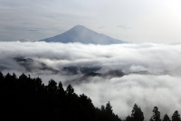 photo?id=2718&suffix=t