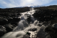 photo?id=2719&suffix=t