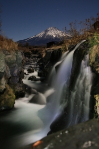 photo?id=2721&suffix=m
