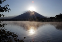 photo?id=2722&suffix=t