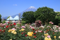 photo?id=2723&suffix=t