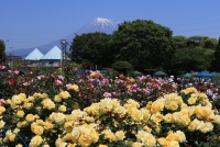 photo?id=2724&suffix=t