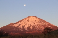 photo?id=2726&suffix=t