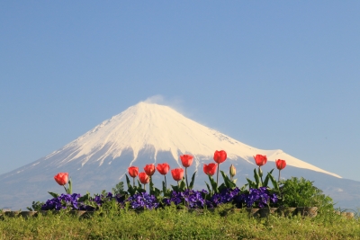 photo?id=2728&suffix=m