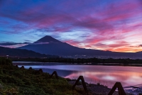 photo?id=2735&suffix=t