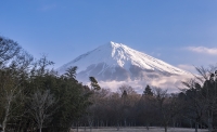 photo?id=2737&suffix=t