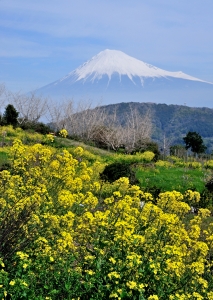 photo?id=2750&suffix=m