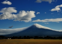 photo?id=2751&suffix=t