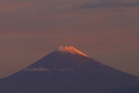 photo?id=2754&suffix=t