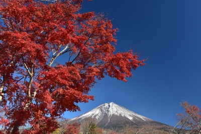 photo?id=2755&suffix=m