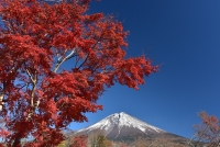 photo?id=2755&suffix=t