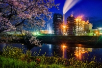 photo?id=2775&suffix=t