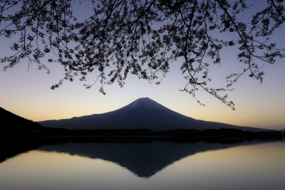 photo?id=2793&suffix=m