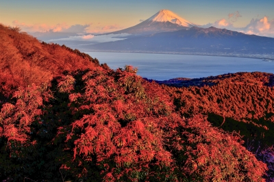 photo?id=2802&suffix=m