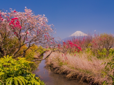 photo?id=2803&suffix=m