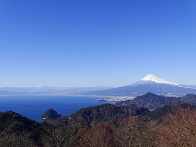 photo?id=2885&suffix=m
