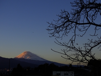 photo?id=2890&suffix=m