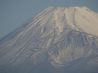 photo?id=2893&suffix=m