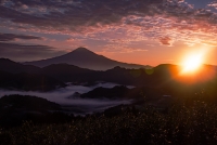 photo?id=2905&suffix=t