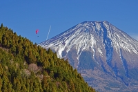 photo?id=2966&suffix=t