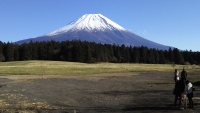 photo?id=3006&suffix=t