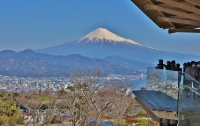 photo?id=3007&suffix=t